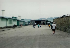 Mauthuseni koncentrációs tábor